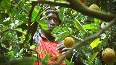 ‘Mediterranea’ brings plight of African migrants to big screen