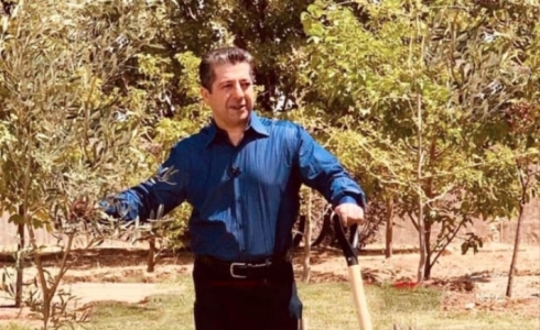 Serokwezîr Mesrûr Barzanî dareka zeytûnê çand