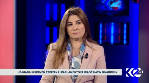 Viyan Dexîl: Bexda biryarên dadgeha federalî bicî nake