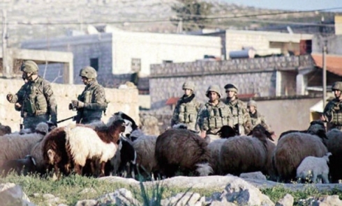 Li Efrînê serbazekî Tirkiyê hat kuştin