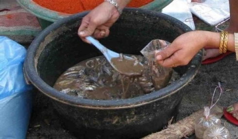 Metirsiya derketina nexweşiya kolera heye