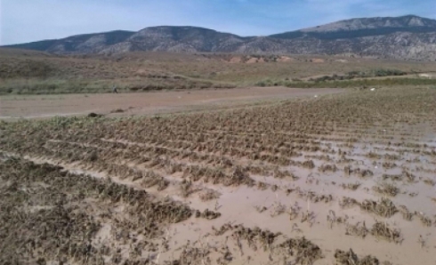 Rojhilat – Li Çaldiranê 2 jin di nav lehiyê de xeniqîn