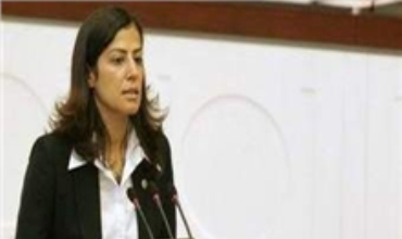 BDP Xwest Yasayê li Dijî Terorê bê Rakirin