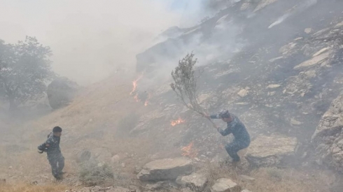 Zêdetir ji 2 hezar donim daristan hatiye şewitandin