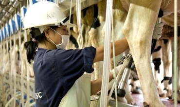 Bazirganên Îsraîlî dixwazin sermaya xwe bînin Kurdistanê