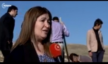 Darên berû di navbera Kurdistan û Iraqê de tên çandin