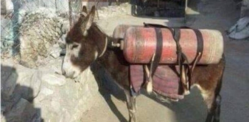 DAIŞ û “Ker”ên bombekirî