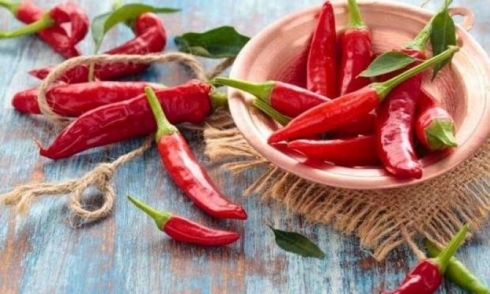 Sûdên îsotên tûj!