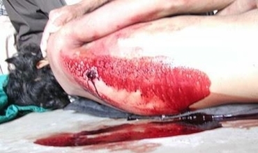 Hêzên Îranê ciwanekî din ê Kurd kuştin