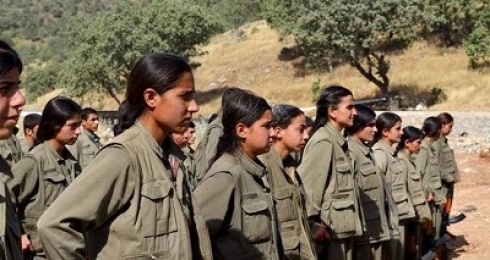 Li Amûdê çekdarên PKKê 14 şagird bi zorê ji xwendinê dûr xistin û tevlî xwe kirin!