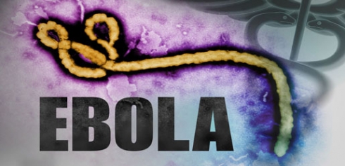 10 Hezar û 445 kes jiber Vîrûsa Ebola mirine