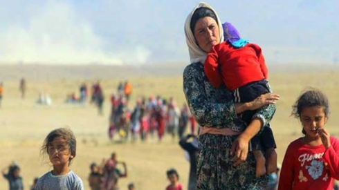 Nûtirîn amara qurbanî û rizgarbûyên Êzidî hat ragihandin