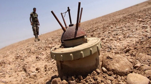 Xwebexşek ê bîyanî li başûr a Kerkûkê hat kuştin