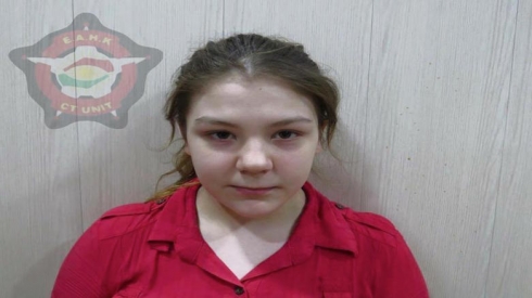 Anti-terora Kurdistanê jineke Siwêdî ji dest DAIŞê rizgarkir