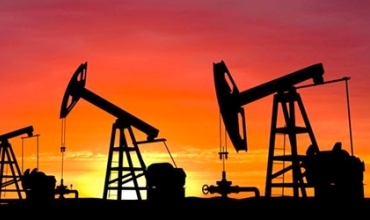 Li Colemêrgê neft hat dîtin