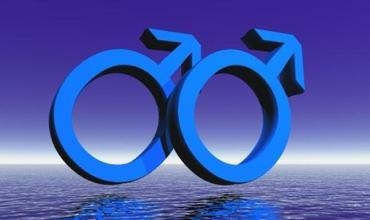 Li Kurdistanê 320 nêremûk hene