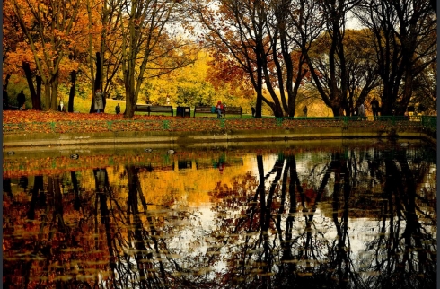 Rêngê payîzê dîmenên Moskowê xweş kiriye