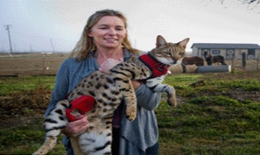 Pisîka herî dirêj li cîhanê 48 Sentîmetre ye