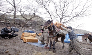 Rêjîma Îranê li bajarê Serdeştê ciwanekî Kurd kuşt