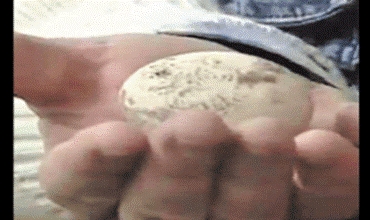 Li Rûsya Hêkek temen 600 salî hat dîtin