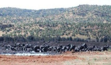 Boriya guhastina nefta Kerkûkê vê sibê hat teqandin