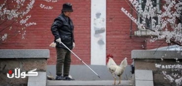 New bird flu strain causes fifth death in China