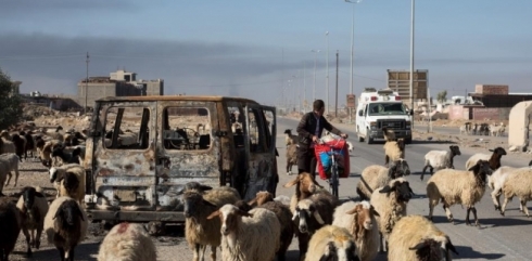 Çekdarên Heşdî Şeibî destdirêjî dikin ser şivanên Nînowa
