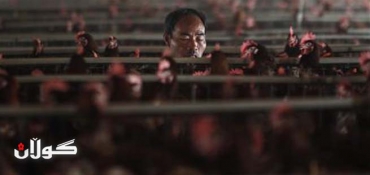 China's bird flu death toll rises to 16, government warns of spread