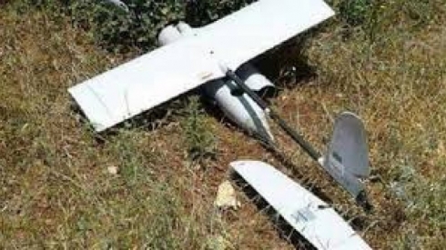 Balefirekê Tirkî ketiye xarê