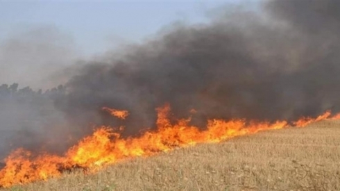 DIŞI agir bi zeviyên sê gundan berda