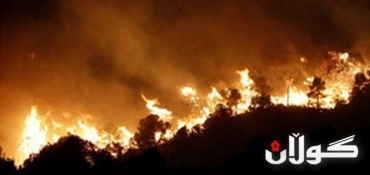 Russia: Al-Qaeda Behind Europe's Forest Fires