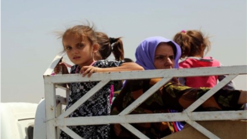 Ji Zummar û Rebîe zêdeyî 64 hezar Kurd koçber bûne