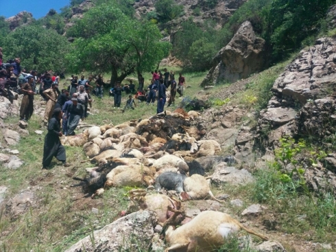 Li Kirmaşanê pilingan êrişî keriyê pêz kirin