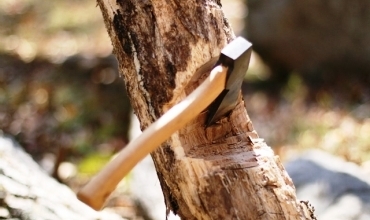 Dara ber deriyê xwe birî û hat girtin