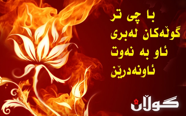 با چی تر گوڵەكان لەبری ئاو بە نەوت ئاونەدرێن