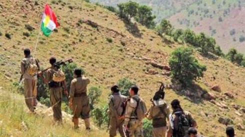 Berhem Salih pêşmerge bi terorîst binav dike