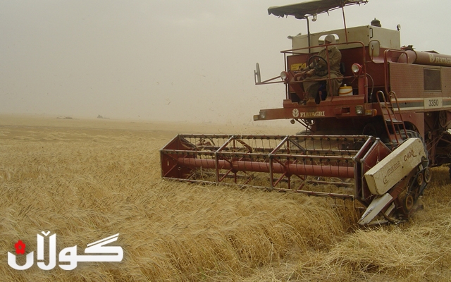بنەمای ئابووریی كوردستان بووژانەوەی  كەرتی كشتوكاڵە پێش ئەوەی رژێمی بەعس تاوانی ئەنفال ئەنجام بدات كۆلێژی كشتوكاڵی لە كوردستان داخست