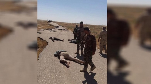 Li Xurmatû 8 cenaze hatin dîtin