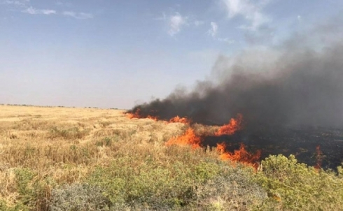 Wezareta Çandiniya Kurdistanê: Şewitandina zeviyên cotkarên kurd pilankirî ye!