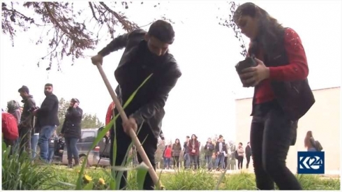 Rewşenbîrên Cizîrê darên zeytûnê ji bo Efrînê diçînin