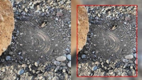 Çekdarên PKKê li ser rêya gundekî Dihukê bomb danîne