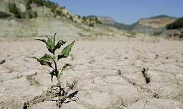 NY: 800 hezar cotkarên bakûr rojhilata Sûrîyê koçber bûne