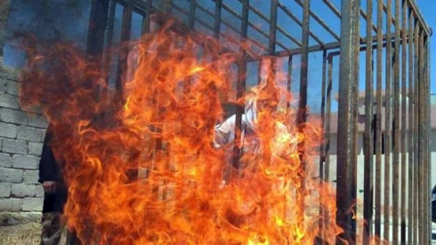 Melayê nûçeya kuştina Bexdadî ragihandiye, bi zindî hate şewitandin