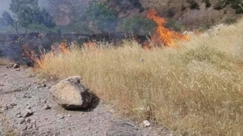 Li nahya Derkarê bêhtirî 100 donimên daristanan ji ber şerê Tirkiyê û PKKê şewitîn