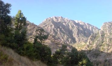 Hêzên Komando û tîmên taybet daristanên derûberê Batmanê dibirin