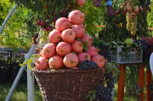 Li Helebcê çaremîn festîvala hinaran tê lidarxistin