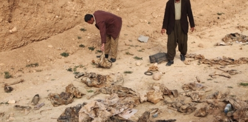 Şingal... Zêdetir ji 1300 meyît di nav gorên komî de ne!