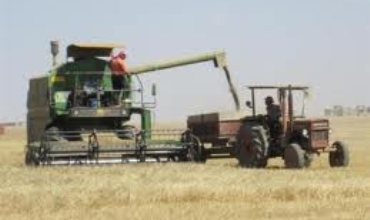 Berhmenên Cotyaran Îsal ji %60 Zêde Kiriye