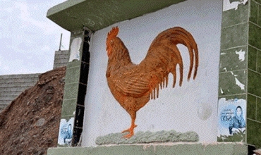 Çima xelkê Mawatê goştê Dîkan naxwin