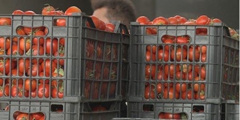 Wezîra Çandiniyê: Ji hinek dergehên sînorî re berhemên qedexekirî derbasî Kurdistanê tên kirin